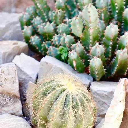 Masseria Torca - Isca Vakantiehuis