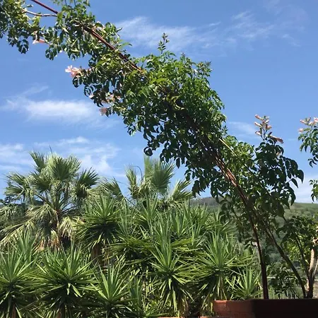 Masseria Torca - Isca * Massa Lubrense